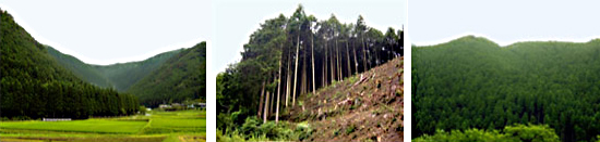 県産木材利用の目的